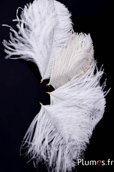 Pendentif tête d´autruche - 17-20 cm - blanc-crème
